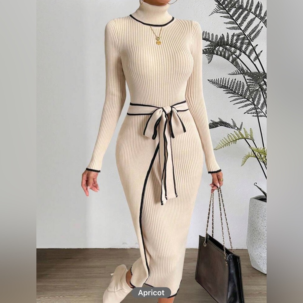 PASSION Contrast Binding Turtleneck Belted Sweater Dress - Picture 13 of 15